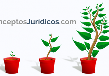 Caso de estudio: conceptosjuridicos.com